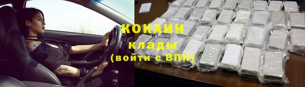 сатива Богородск