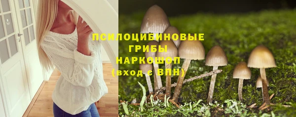 ALPHA-PVP Богородицк