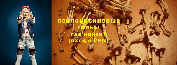 сатива Богородск