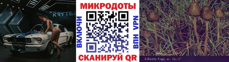 где купить   Белый  Галлюциногенные грибы прущие грибы 